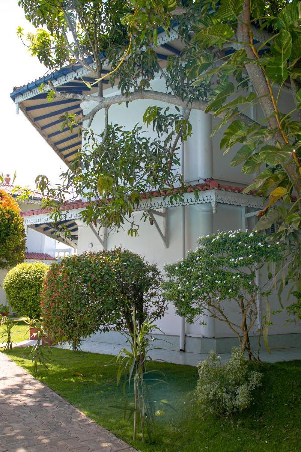 Alma Beach Hotel 웰리가마 외부 사진
